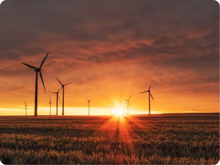 Wind farm at sunset